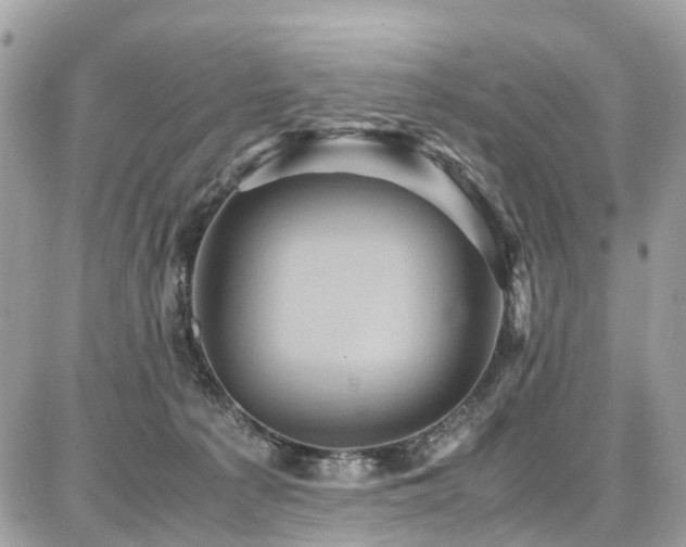 X0000086770225200704131150