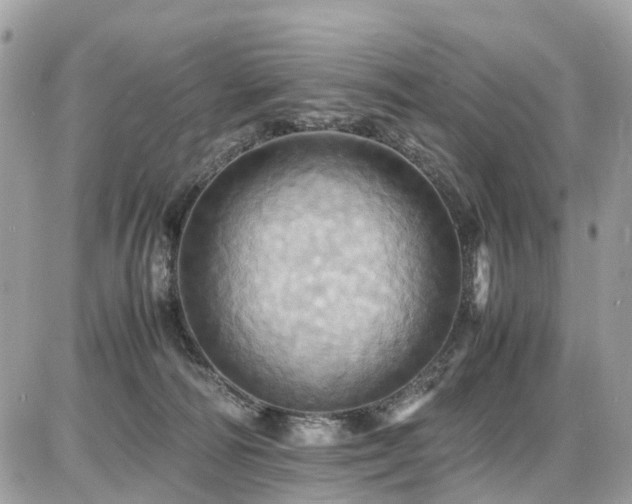 X0000086770226200704131150