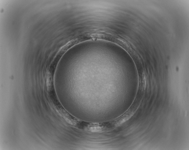 X0000086770228200704131150