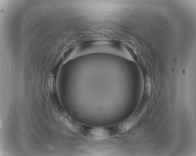 X0000086770231200704131150