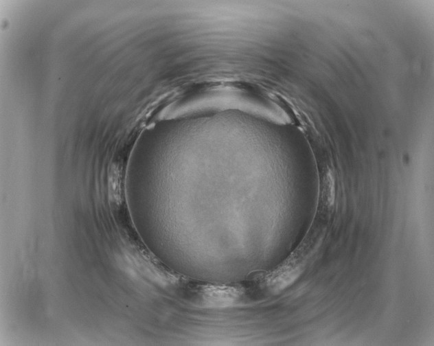 X0000086770234200704131150