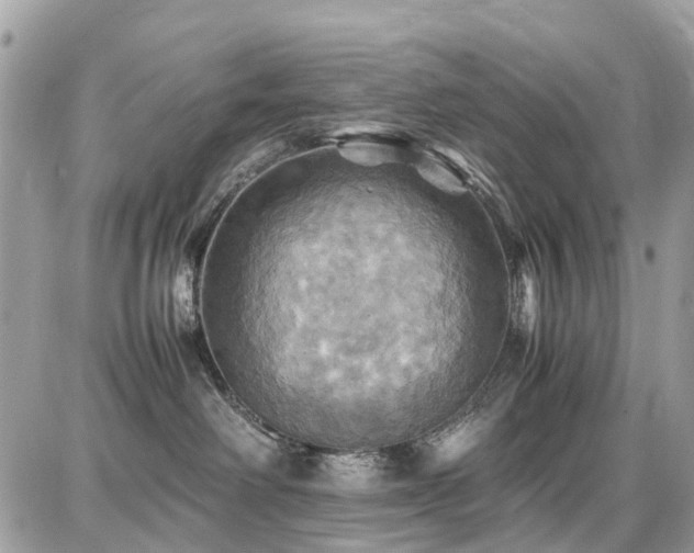X0000086770238200704131150