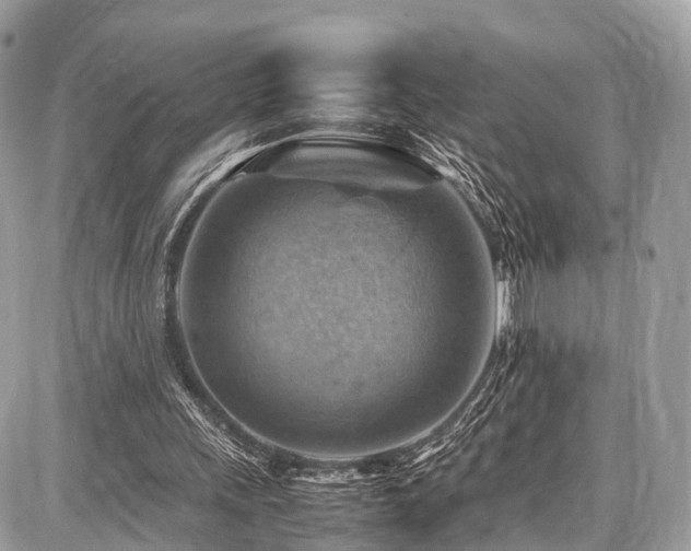 X0000086770243200704131149