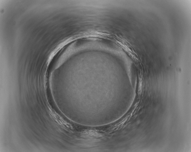 X0000086770244200704131149