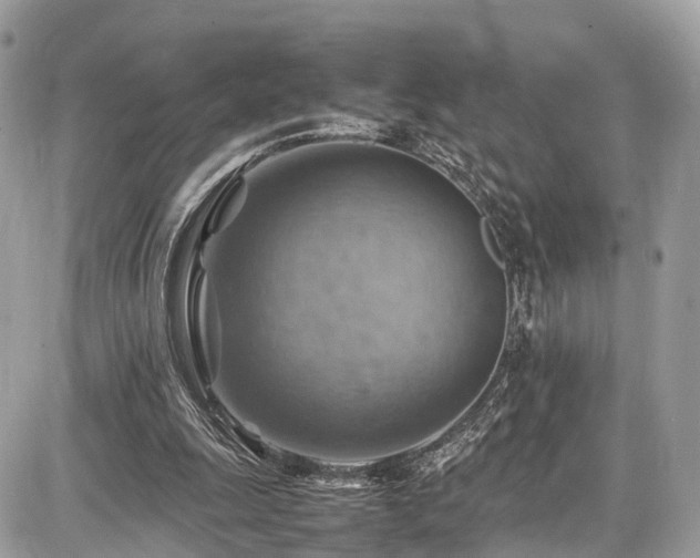 X0000086770247200704131149