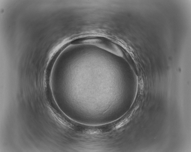 X0000086770248200704131149