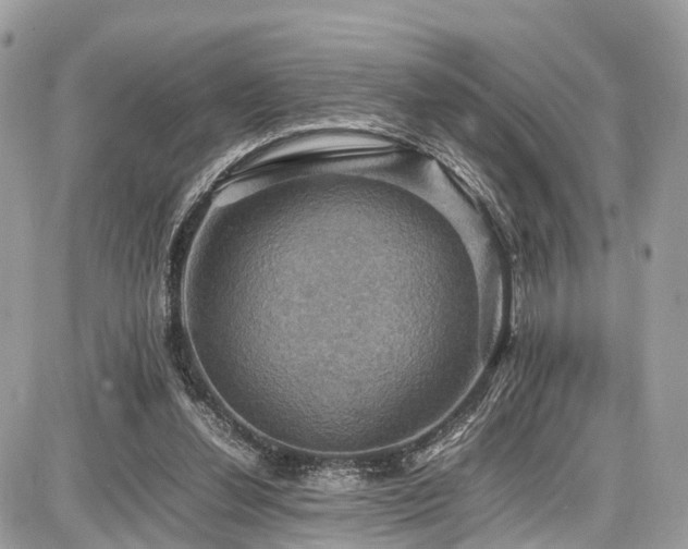 X0000086770252200704131149