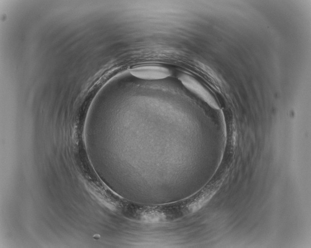 X0000086770258200704131149
