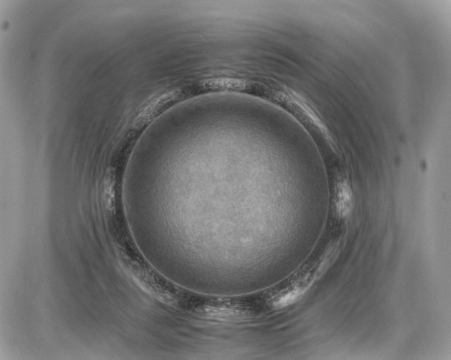X0000086770259200704131149