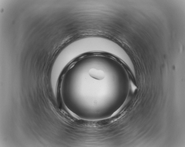 X0000086770264200704131149