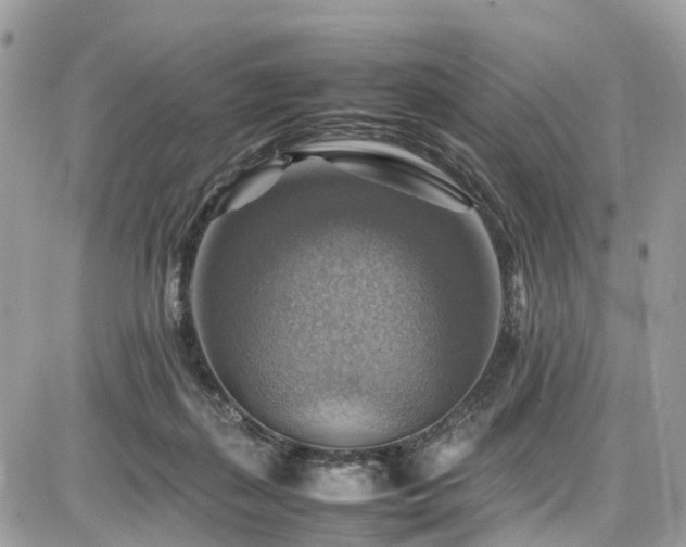 X0000086770267200704131149