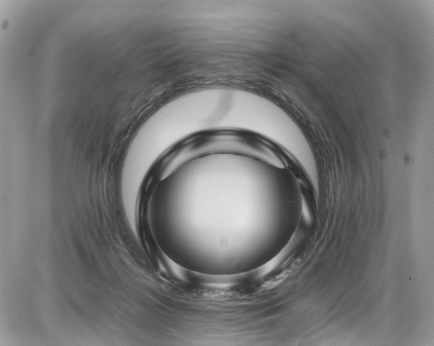 X0000086770268200704131149