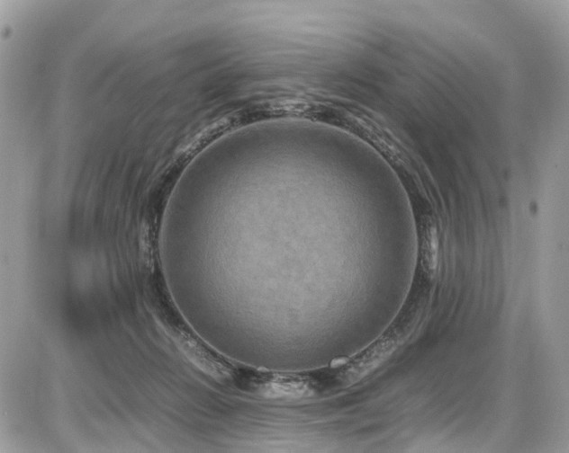 X0000086770270200704131149