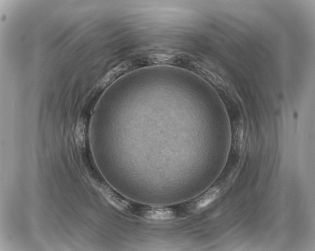 X0000086770274200704131149