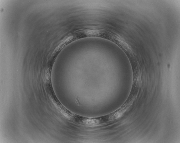X0000086770277200704131149