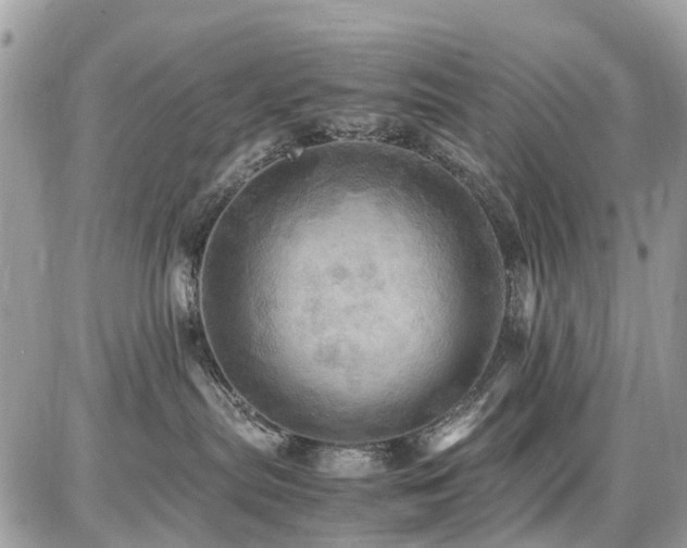 X0000086770287200704131149