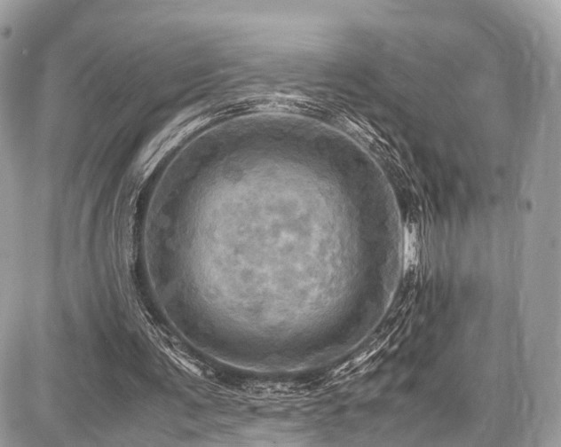 X0000086770291200704131149