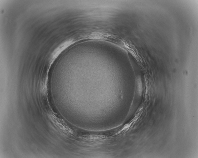 X0000086770292200704131149