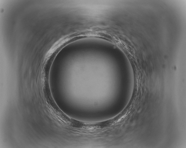 X0000086770295200704131149