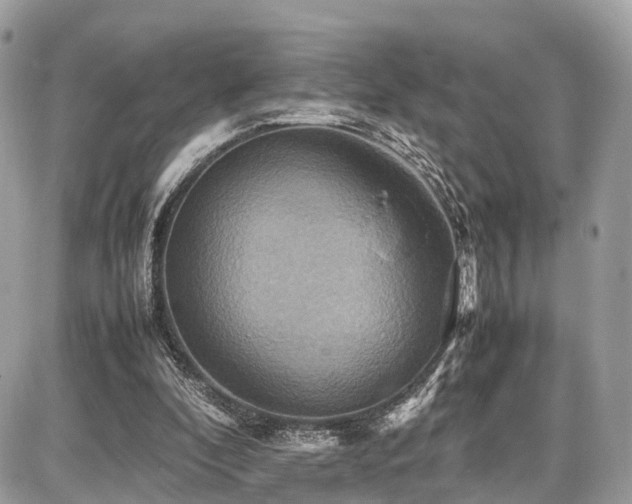 X0000086770296200704131149