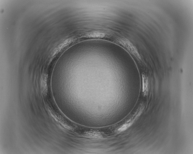 X0000086770300200704131148