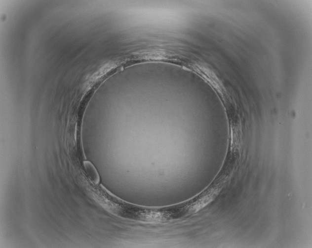 X0000086770301200704131148