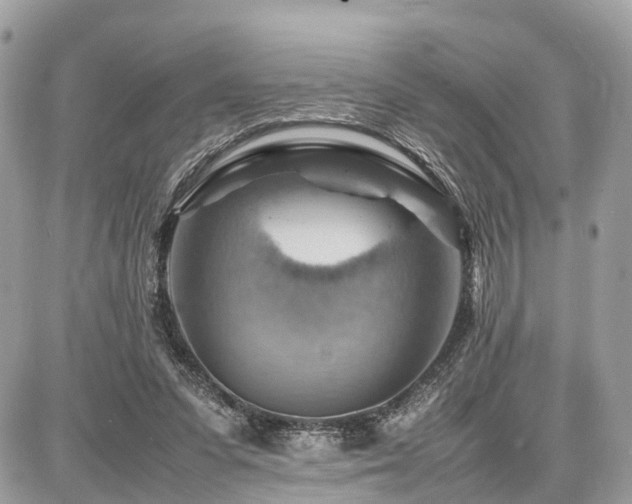 X0000086770303200704131148