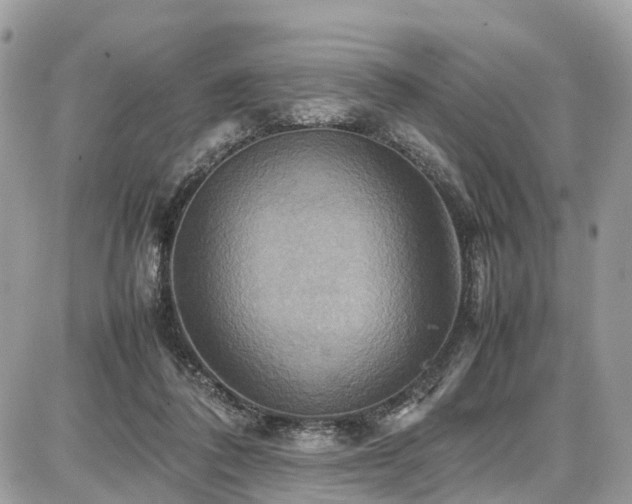 X0000086770308200704131148