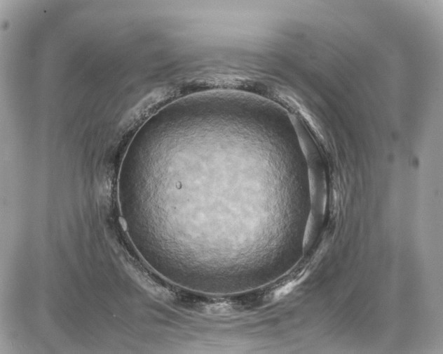 X0000086770309200704131148