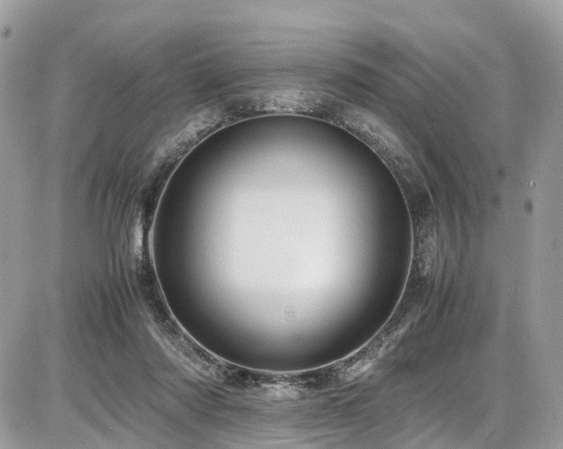 X0000086770310200704131148