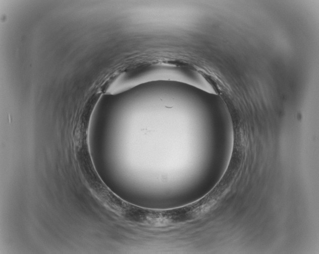 X0000086770311200704131148