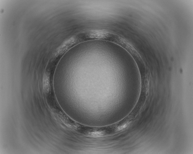 X0000086770312200704131148