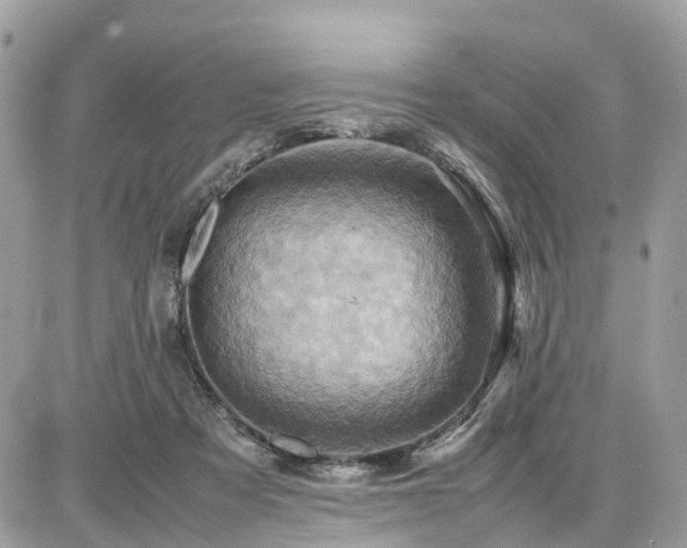 X0000086770313200704131148