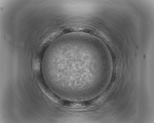 X0000086770315200704131148