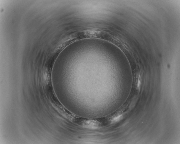 X0000086770324200704131148