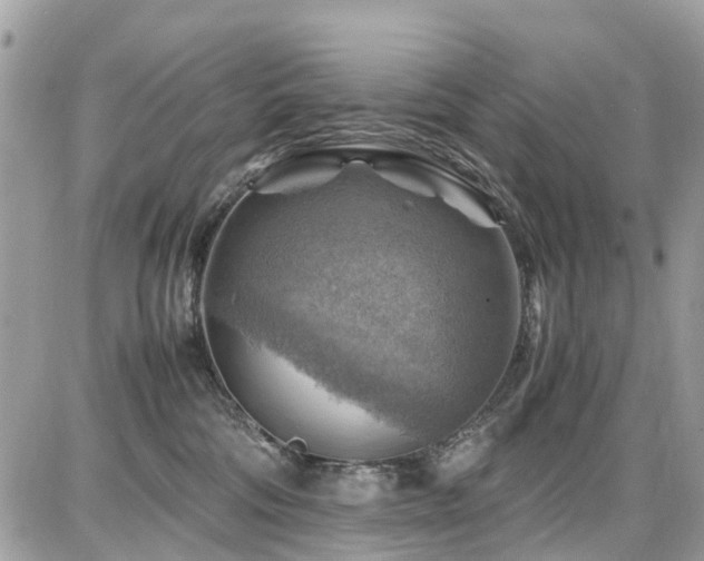 X0000086770330200704131148