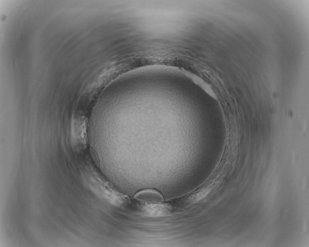 X0000086770336200704131148