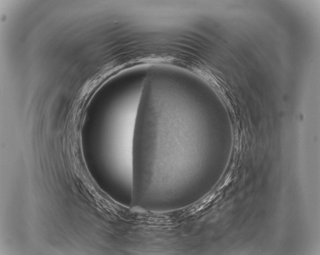 X0000086770337200704131147