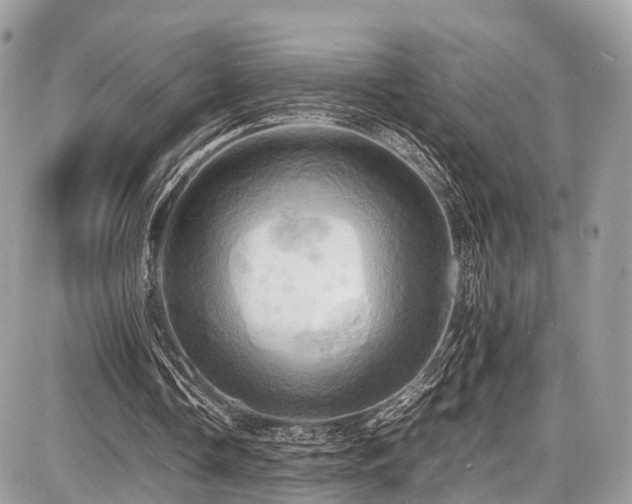 X0000086770338200704131147