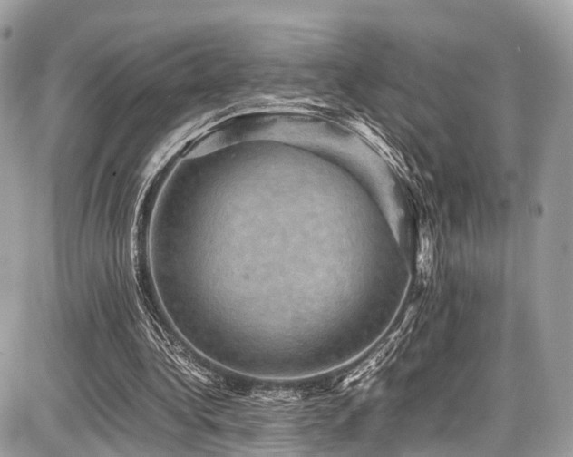 X0000086770340200704131147