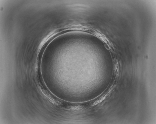 X0000086770344200704131147