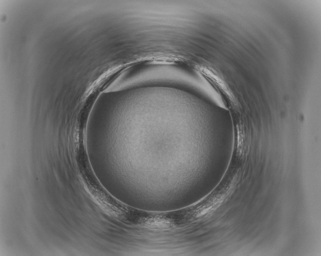 X0000086770348200704131147