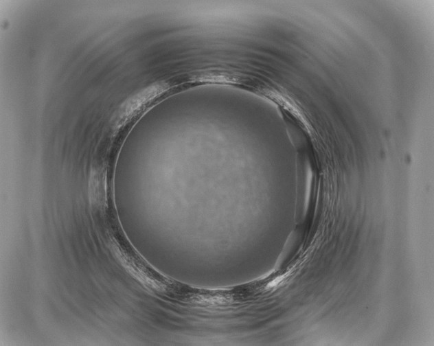 X0000086770349200704131147