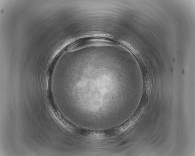 X0000086770350200704131147