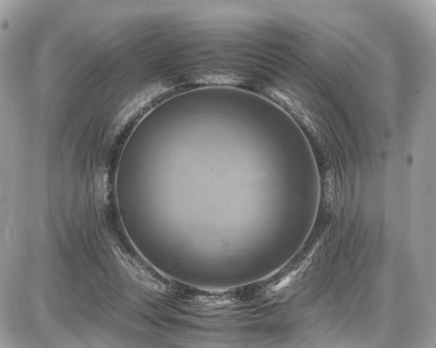 X0000086770351200704131147