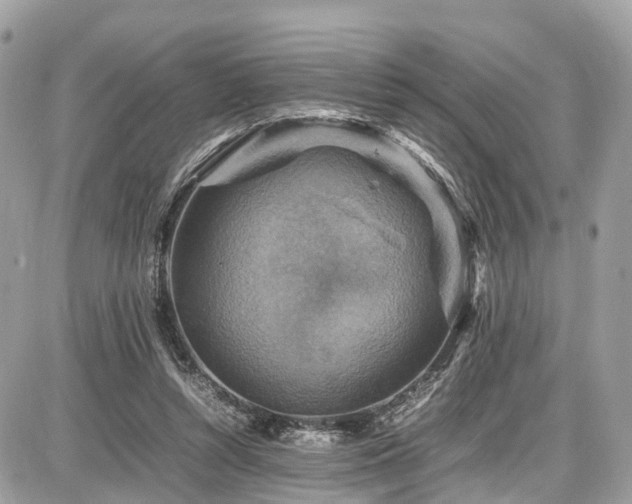 X0000086770352200704131147