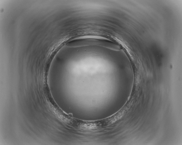 X0000086770353200704131147