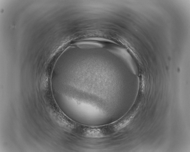 X0000086770355200704131147