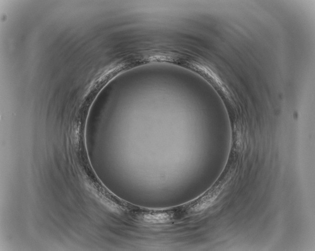 X0000086770357200704131147