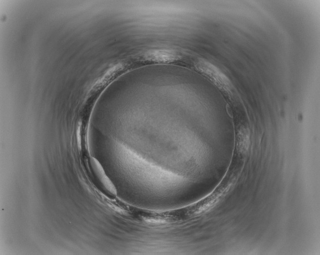 X0000086770358200704131147